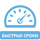 Быстрые сроки